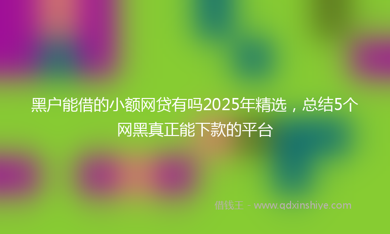 黑户能借的小额网贷有吗2025年精选，总结5个网黑真正能下款的平台