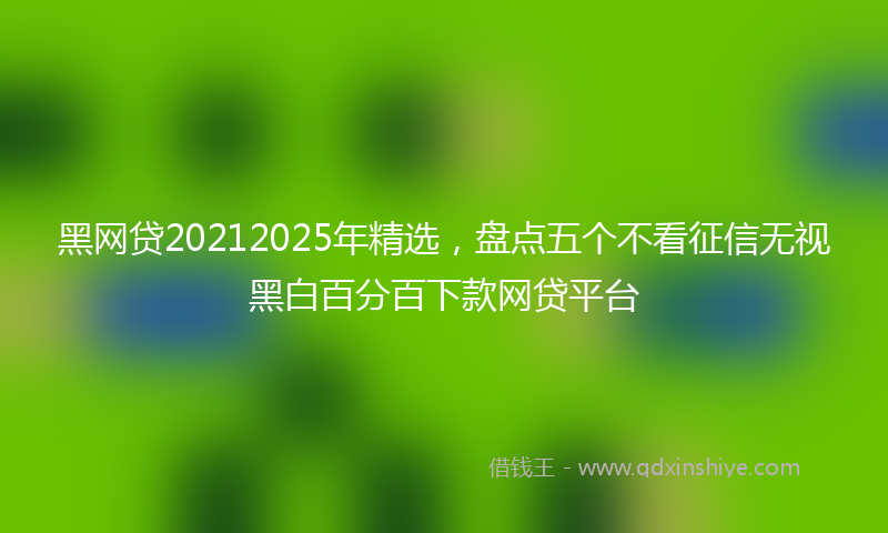 黑网贷20212025年精选，盘点五个不看征信无视黑白百分百下款网贷平台