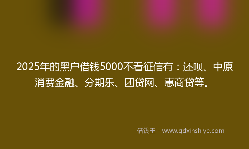 2025年的黑户借钱5000不看征信有：还呗、中原消费金融、分期乐、团贷网、惠商贷等。