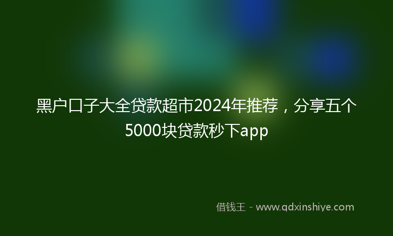 黑户口子大全贷款超市2024年推荐，分享五个5000块贷款秒下app