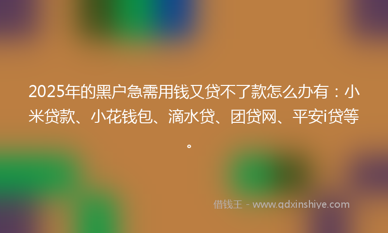 2025年的黑户急需用钱又贷不了款怎么办有:小米贷款、小花钱包、滴水贷、团贷网、平安i贷等。