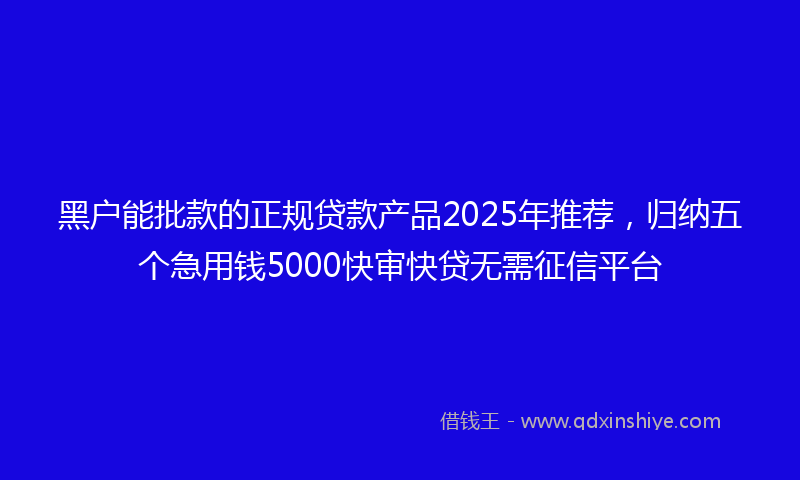 黑户能批款的正规贷款产品2025年推荐，归纳五个急用钱5000快审快贷无需征信平台