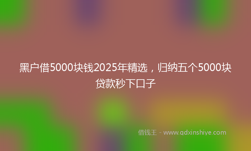 黑户借5000块钱2025年精选，归纳五个5000块贷款秒下口子