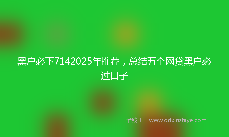 黑户必下7142025年推荐，总结五个网贷黑户必过口子