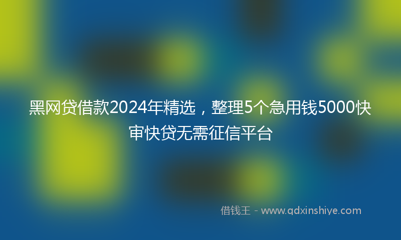 黑网贷借款2024年精选，整理5个急用钱5000快审快贷无需征信平台