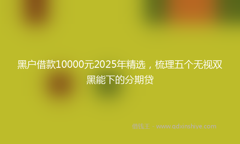 黑户借款10000元2025年精选，梳理五个无视双黑能下的分期贷