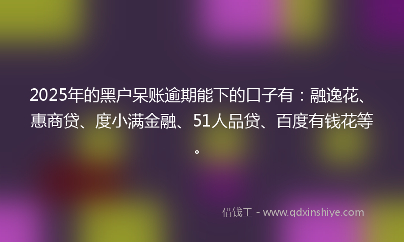 2025年的黑户呆账逾期能下的口子有：融逸花、惠商贷、度小满金融、51人品贷、百度有钱花等。