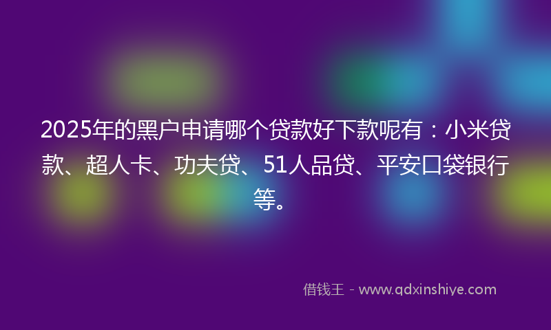2025年的黑户申请哪个贷款好下款呢有：小米贷款、超人卡、功夫贷、51人品贷、平安口袋银行等。
