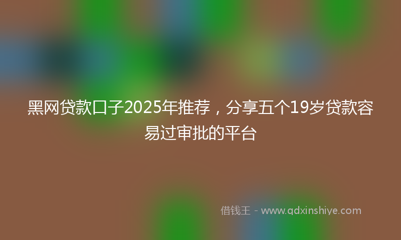 黑网贷款口子2025年推荐，分享五个19岁贷款容易过审批的平台