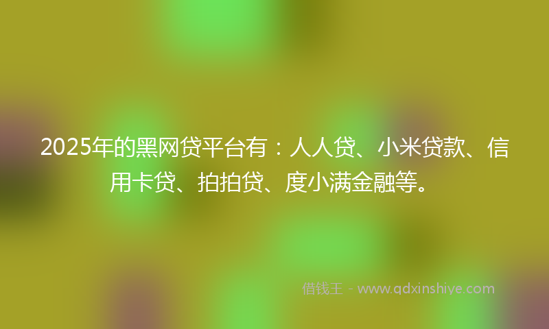 2025年的黑网贷平台有：人人贷、小米贷款、信用卡贷、拍拍贷、度小满金融等。