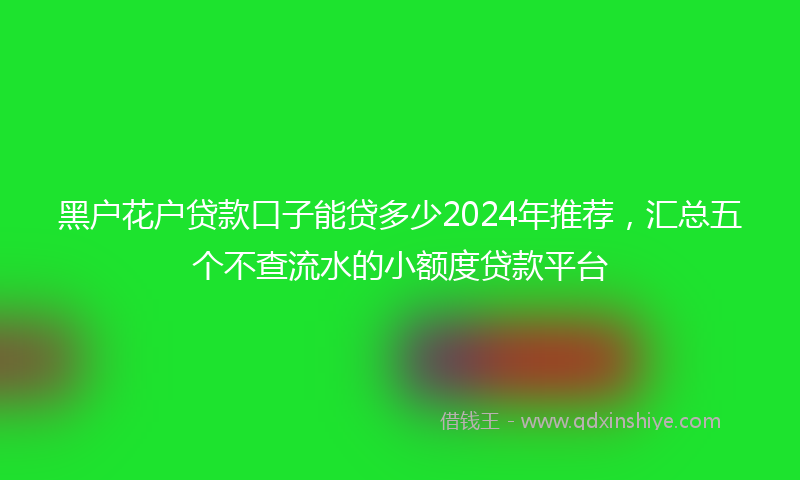 黑户花户贷款口子能贷多少2024年推荐，汇总五个不查流水的小额度贷款平台