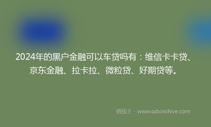 2024年的黑户金融可以车贷吗有：维信卡卡贷、京东金融、拉卡拉、微粒贷、好期贷等。