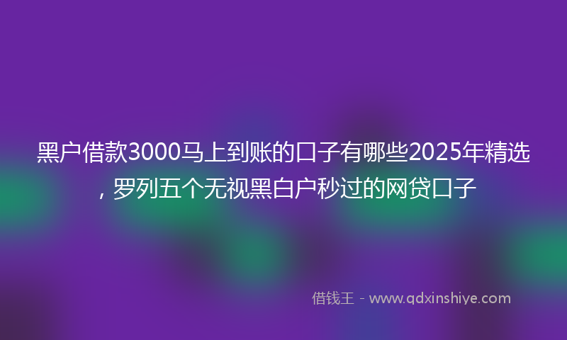 黑户借款3000马上到账的口子有哪些2025年精选，罗列五个无视黑白户秒过的网贷口子