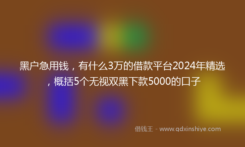 黑户急用钱，有什么3万的借款平台2024年精选，概括5个无视双黑下款5000的口子