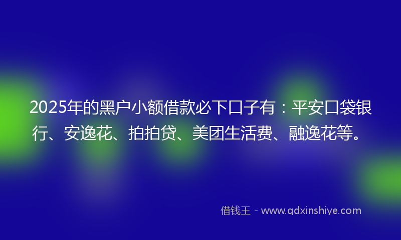 2025年的黑户小额借款必下口子有：平安口袋银行、安逸花、拍拍贷、美团生活费、融逸花等。