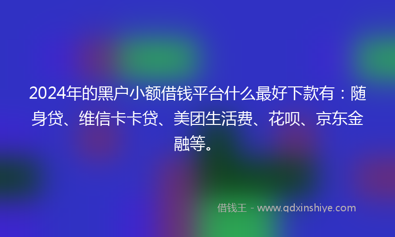 2024年的黑户小额借钱平台什么最好下款有：随身贷、维信卡卡贷、美团生活费、花呗、京东金融等。