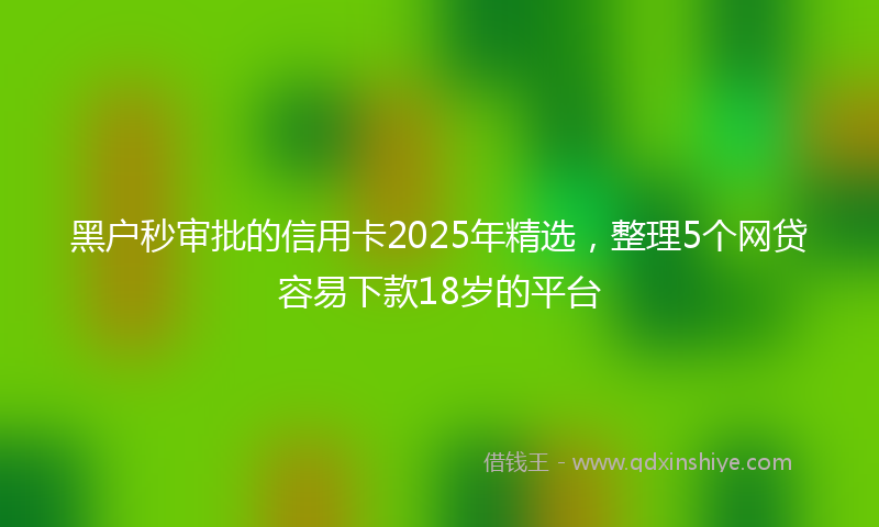 黑户秒审批的信用卡2025年精选，整理5个网贷容易下款18岁的平台