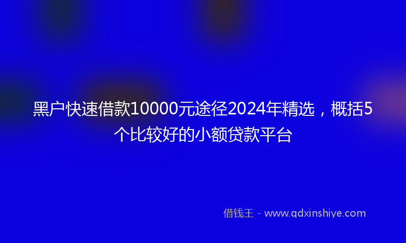 黑户快速借款10000元途径2024年精选，概括5个比较好的小额贷款平台