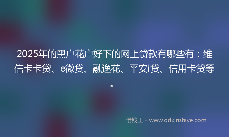 2025年的黑户花户好下的网上贷款有哪些有：维信卡卡贷、e微贷、融逸花、平安i贷、信用卡贷等。