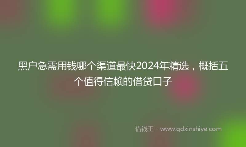 黑户急需用钱哪个渠道最快2024年精选，概括五个值得信赖的借贷口子