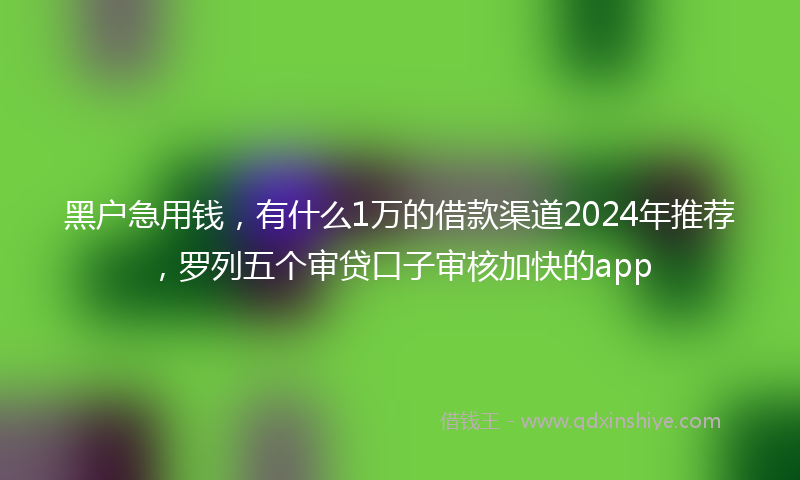 黑户急用钱，有什么1万的借款渠道2024年推荐，罗列五个审贷口子审核加快的app