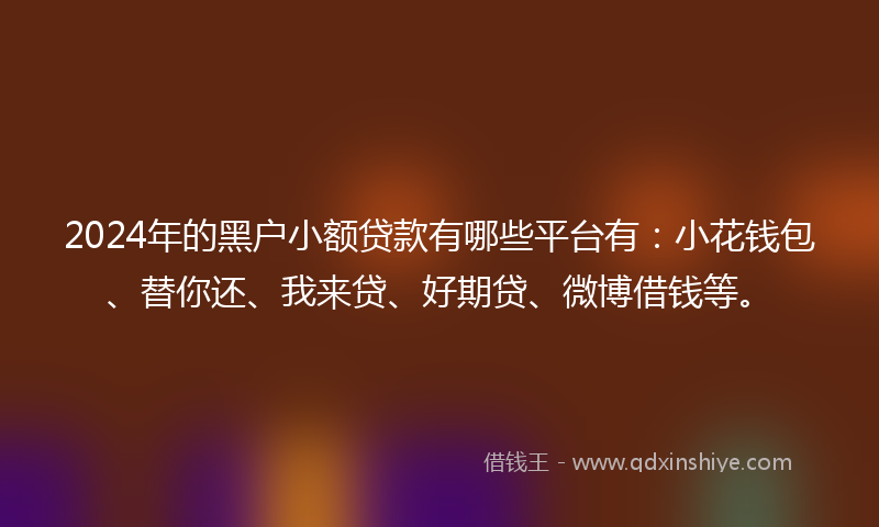 2024年的黑户小额贷款有哪些平台有：小花钱包、替你还、我来贷、好期贷、微博借钱等。