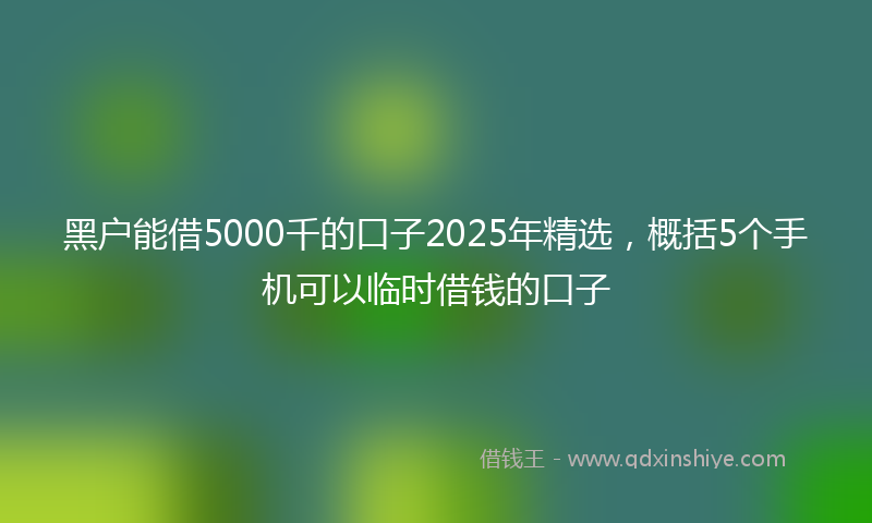 黑户能借5000千的口子2025年精选，概括5个手机可以临时借钱的口子