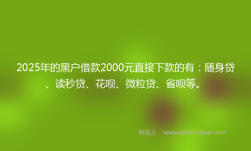 2025年的黑户借款2000元直接下款的有：随身贷、读秒贷、花呗、微粒贷、省呗等。