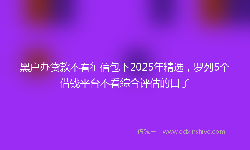 黑户办贷款不看征信包下2025年精选，罗列5个借钱平台不看综合评估的口子