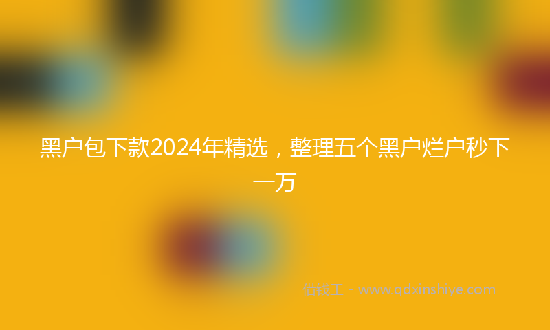 黑户包下款2024年精选，整理五个黑户烂户秒下一万