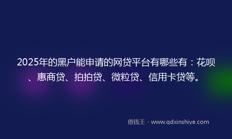 2025年的黑户能申请的网贷平台有哪些有：花呗、惠商贷、拍拍贷、微粒贷、信用卡贷等。