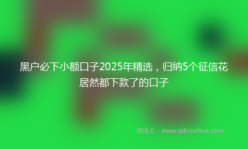 黑户必下小额口子2025年精选，归纳5个征信花居然都下款了的口子