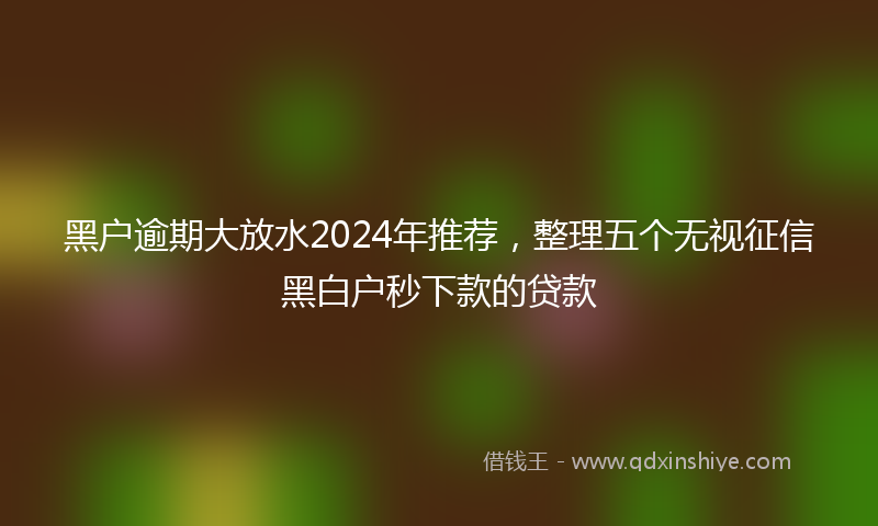 黑户逾期大放水2024年推荐，整理五个无视征信黑白户秒下款的贷款