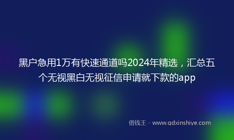 黑户急用1万有快速通道吗2024年精选，汇总五个无视黑白无视征信申请就下款的app
