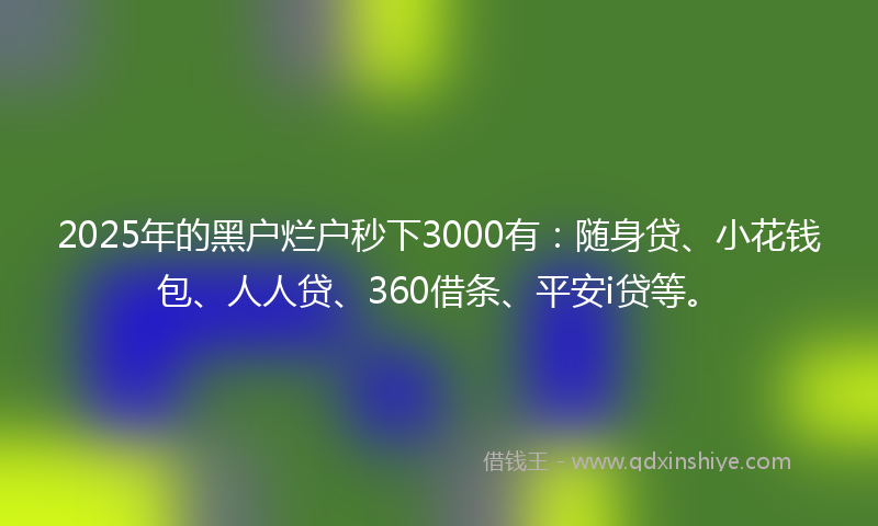 2025年的黑户烂户秒下3000有：随身贷、小花钱包、人人贷、360借条、平安i贷等。