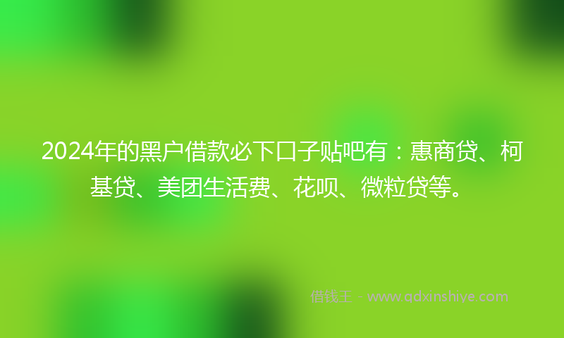 2024年的黑户借款必下口子贴吧有：惠商贷、柯基贷、美团生活费、花呗、微粒贷等。