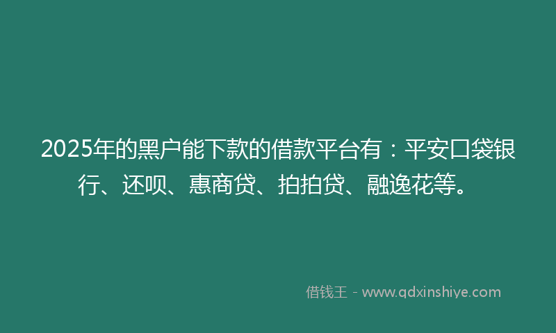 2025年的黑户能下款的借款平台有：平安口袋银行、还呗、惠商贷、拍拍贷、融逸花等。