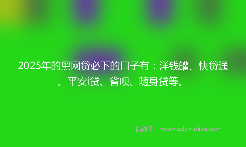 2025年的黑网贷必下的口子有：洋钱罐、快贷通、平安i贷、省呗、随身贷等。