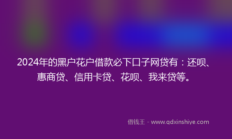 2024年的黑户花户借款必下口子网贷有：还呗、惠商贷、信用卡贷、花呗、我来贷等。