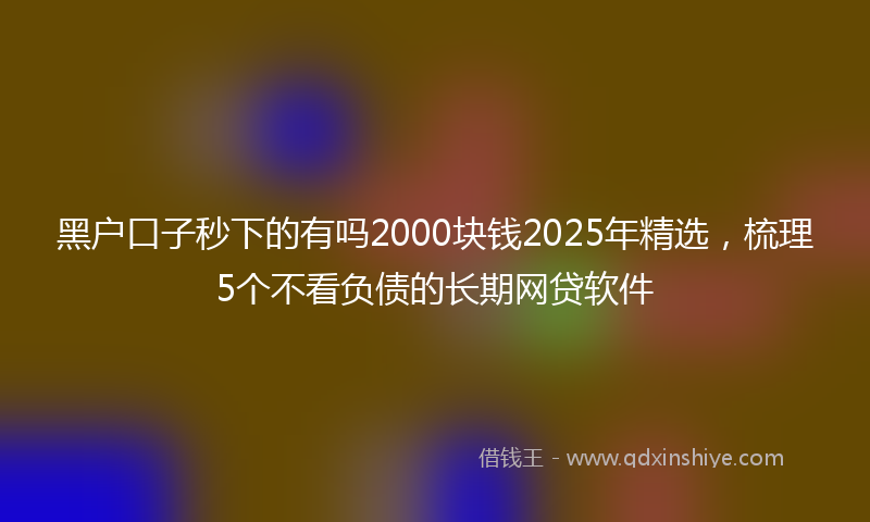 黑户口子秒下的有吗2000块钱2025年精选，梳理5个不看负债的长期网贷软件