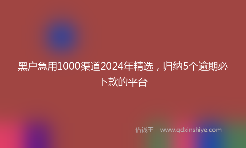 黑户急用1000渠道2024年精选，归纳5个逾期必下款的平台