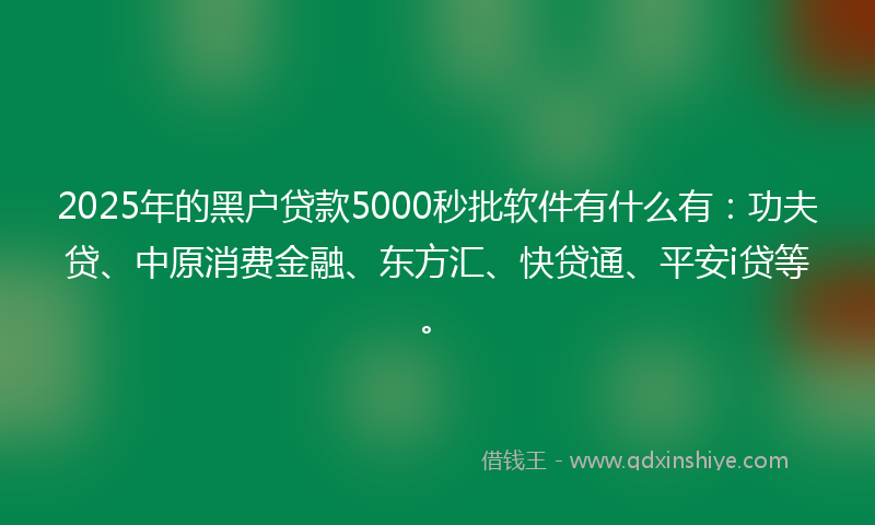 2025年的黑户贷款5000秒批软件有什么有：功夫贷、中原消费金融、东方汇、快贷通、平安i贷等。