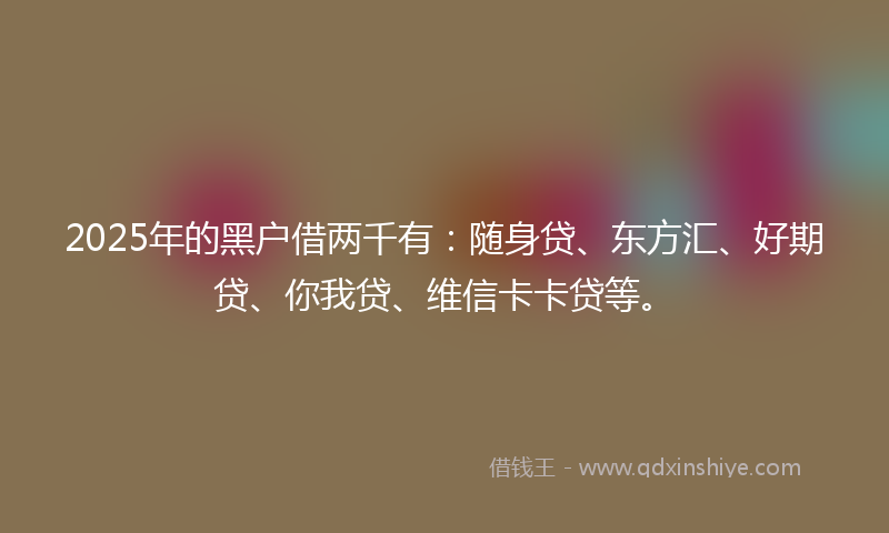 2025年的黑户借两千有：随身贷、东方汇、好期贷、你我贷、维信卡卡贷等。