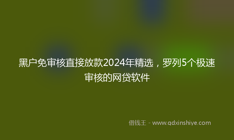 黑户免审核直接放款2024年精选，罗列5个极速审核的网贷软件