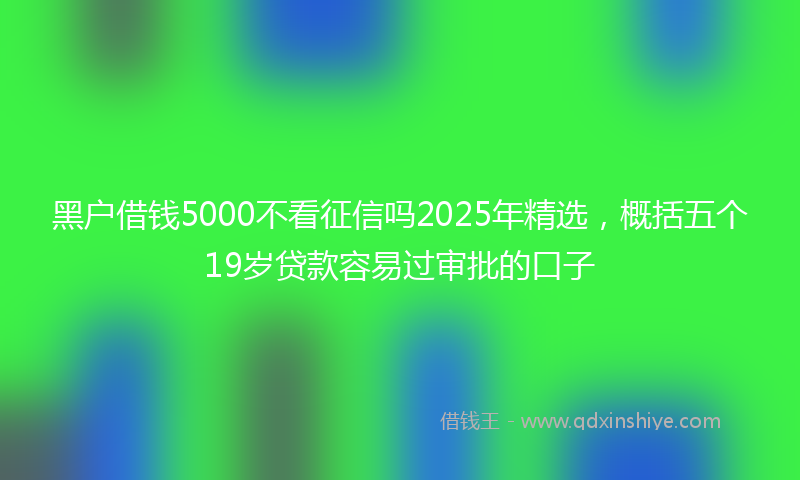 黑户借钱5000不看征信吗2025年精选，概括五个19岁贷款容易过审批的口子