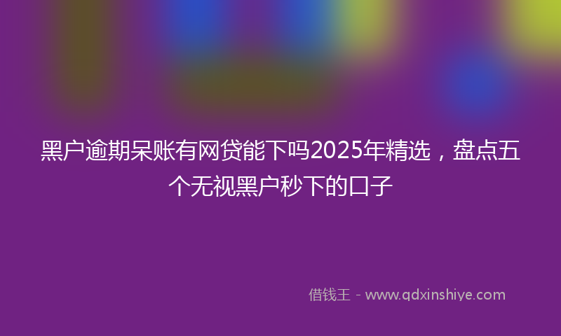 黑户逾期呆账有网贷能下吗2025年精选，盘点五个无视黑户秒下的口子
