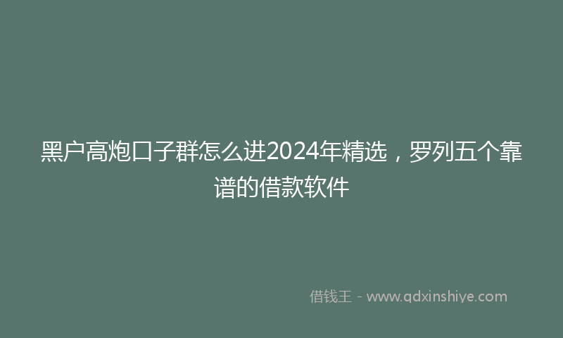 黑户高炮口子群怎么进2024年精选，罗列五个靠谱的借款软件