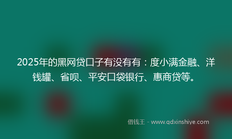 2025年的黑网贷口子有没有有：度小满金融、洋钱罐、省呗、平安口袋银行、惠商贷等。