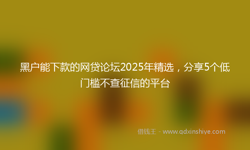 黑户能下款的网贷论坛2025年精选，分享5个低门槛不查征信的平台