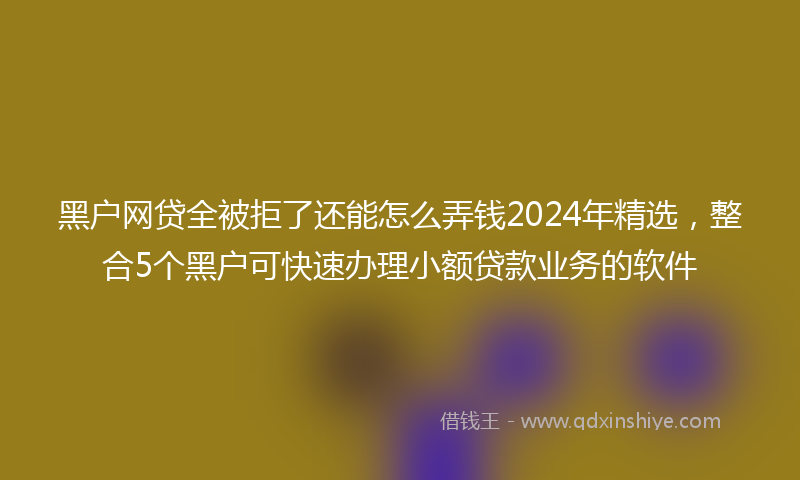黑户网贷全被拒了还能怎么弄钱2024年精选，整合5个黑户可快速办理小额贷款业务的软件